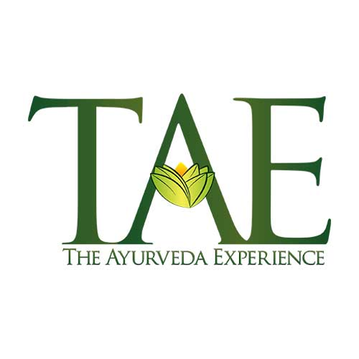 The Ayurveda Experience logo