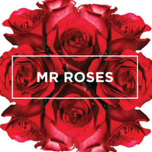 MRROSES