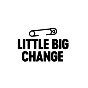 LITTLE-BIG-CHANGE