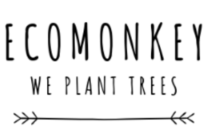 ECOMONKEY